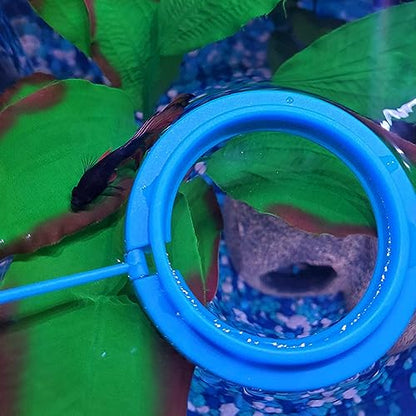 Fish Feeding Ring Floating Food Feeder Circle with Suction Cup Easy to Install Aquarium (Round) - color: Round