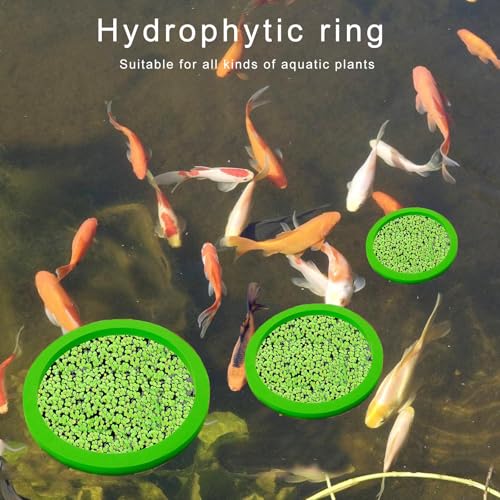 Fish Tanks Floating Plant Rings Set of 5pcs Aquarium Floating Plant Holder Plant Rings Fishtank Feeding Circles