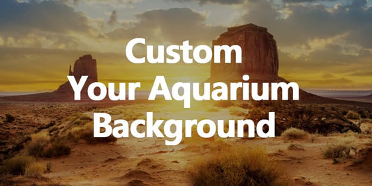 Custom Aquarium Background Photo Backdrop Personalized Backdrop Upload Picture Reptile Habitat Hideout Underwater Fish Tank Accessories 72x26inch - size: 72x16IN
