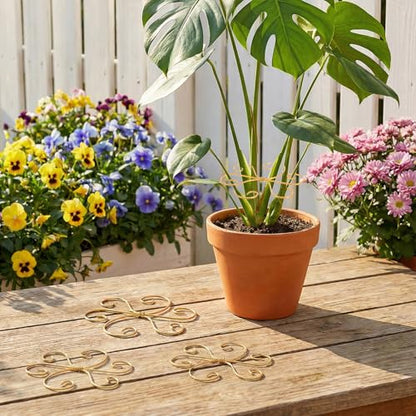 COMNICO Plant Stem Support, 6 Pcs Monstera Durable Metal Plant Holder Stakes Reusable Stem Stabilizer Turtle Shell Bamboo Clamp Set for Outdoor Indoor Plants