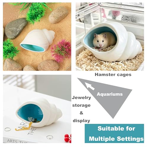 Ceramic Conch Betta Tank Decor,Beach-Themed Aquarium Hideout | For Bettas, Axolotls, Shrimp & Hamsters,Easy to Clean,Fits Small/Medium Tanks/Cages,or Decorative desktop jewelry organizer