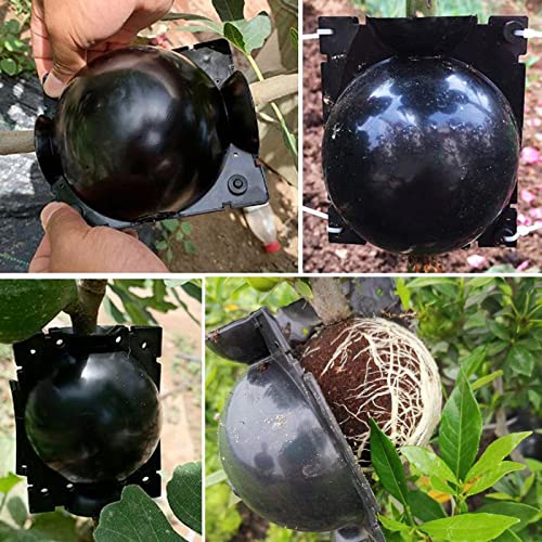 12 PCS Plant Root Growing Box, Reusable Air Layering Propagation Kit Rooting Ball Grafting Tools for Plant Propagation - size: Large