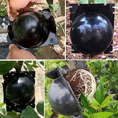 12 PCS Plant Root Growing Box, Reusable Air Layering Propagation Kit Rooting Ball Grafting Tools for Plant Propagation - size: Large