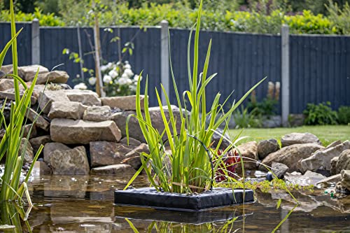 PondH2o Floating Aquatic Water Garden Pond Plant or Flower Fabric Planter Baskets, 10" Square & 14" Round, Aquaponics, Hydroponics | Value 2 Pack