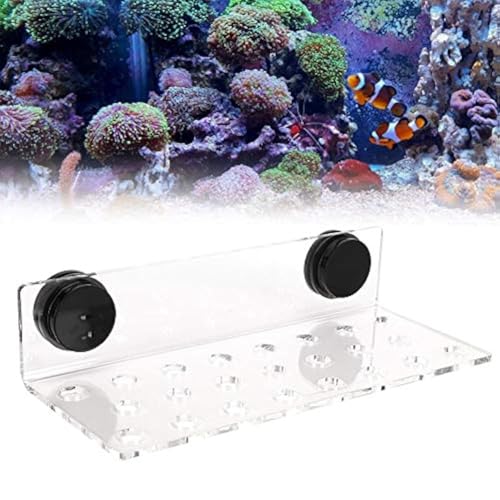 TOPINCN Acrylic Magnetic Frag Holder - Support SPS Button Bracket Base for Fish Aquarium (23 Hole)