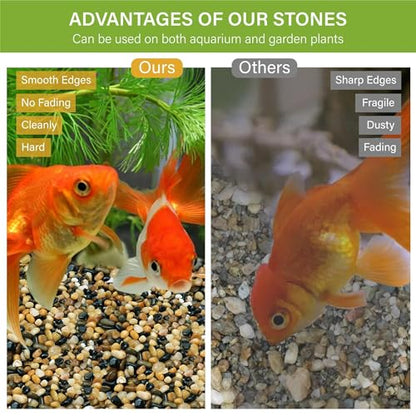 3 lb Aquarium Gravel, 1/4" Ph-Natural Pea Gravel for Fish Tank,Small River Rocks for Plants, Decorative Aquarium Pebbles for Vase Fillers, Landscaping, Succulent, Cactus, Terrarium, Bird Bath - size: 3 lb