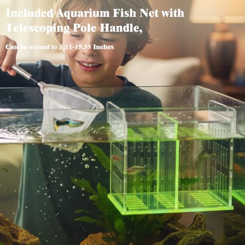 Green Acrylic Aquarium Breeder Box, 7.4x5.3x6.3 in Hang-On Fish Isolation Box with Long Handle Net, Removable Divider & Feeding Hole for Betta Guppy Shrimp Freshwater Saltwater