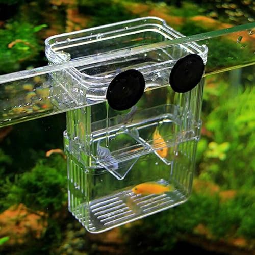 Generic Aquarium Fish Tank Hatchery Incubator Breeding Box, Transparent Fish Isolation Box Acclimation Hatchery, for Baby Fish Shrimp Clownfish Guppy (S) - color: S