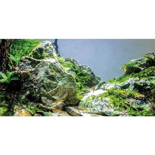 AWERT 24x16 inches Aquarium Background Stone Aquarium Background Aquatic Plant River Bed & Lake Fish Tank Background Vinyl Background