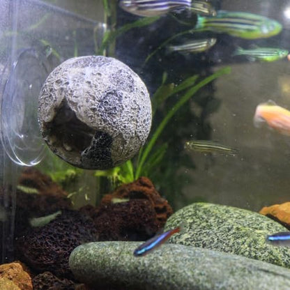 WishLotus Mini Fish Tank Decorations Cave, Moon Has Holes Fish Hideout for Aquarium with Suction Cup, Resin Aquarium Decorations for Play and Rest (Moon)
