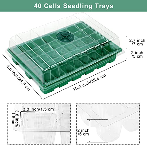 Elcoho 6 Pack Seed Starter Tray Kit 40 Cells Seedling Trays with Humidity Dome and Base Mini Propagator Plant Nursery Pots Total 240 Cells for Greenhouse Plants Growing, Green - color: Green