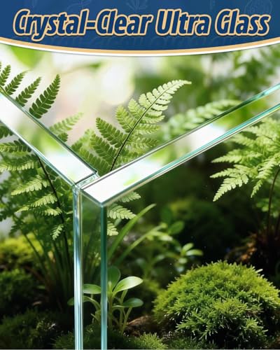 5 Gallon Ultra Clear Glass Fish Tank, Easy to Maintain Small Aquarium for Betta, Goldfish, Shrimp, Snails and Aquatic Plants - color: Transparent, size: 5 Gallon