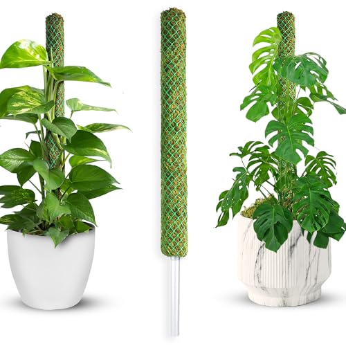 Green Mesh Moss Pole for Plants Climbing Vine Supporting Monstera Trellis, for Indoor Plants Plant Pole Moss Sticks, for Plants Monstera Potted Plant Stakes, 1 Pc 22'' - color: 1pc Green