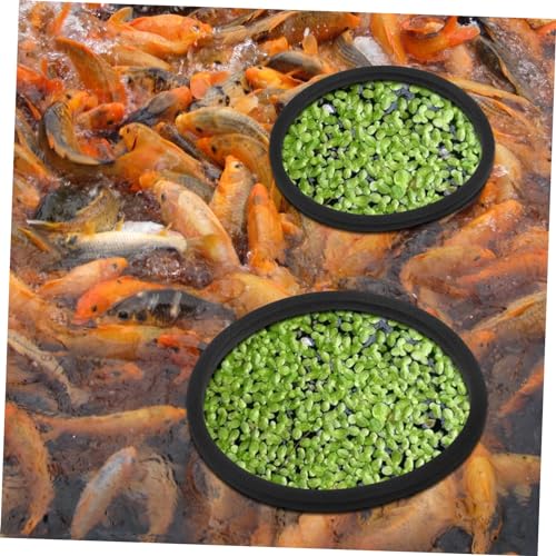 Happyyami 5pcs Fish Tank Grass Retaining Ring Fish Tanks Floating Plant Rings Floating Plants Rings Fish Feeder Fish Tank Plants Rings Aquarium Plant Holder Set Eva