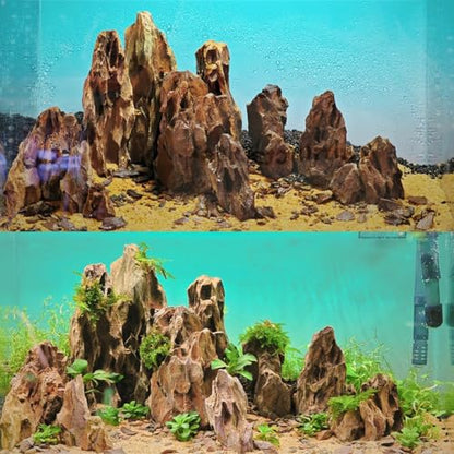 Natural Stone 20lb Aquarium Rocks for Aquarium Landscaping Models and PH Neutral Rocks Aquascaping Stones for Terrariums-2-8 inches