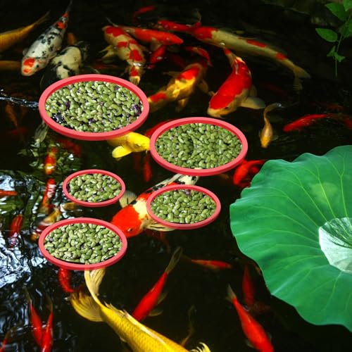 PEUTIER 5pcs Aquarium Floating Plant Rings, Round Fish Feeding Rings Foam Fish Tank Plant Corral for Bettas, Goldfish Aquarium Accessories Duckweed Isolation Circle Keep Plants in Place (Red)