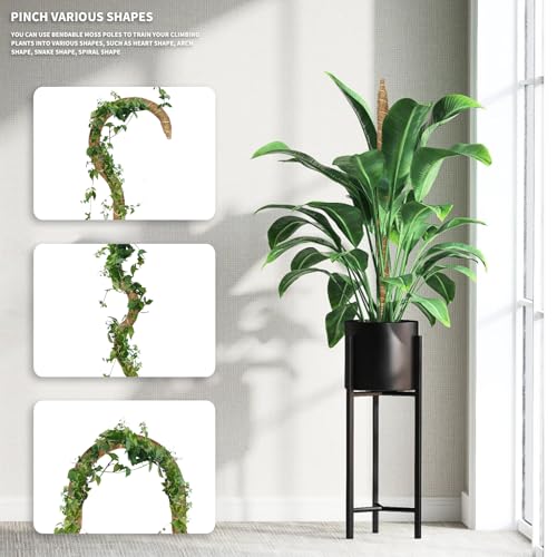 3 Pack Moss Pole Monstera Plant Support, 28 Inch Bendable Moss Poles for Climbing Plants with 20 FT Jute Ropes, Coco Coir Moss Pole Kit Support for Indoor Potted Plants, Pothos, Philodendron