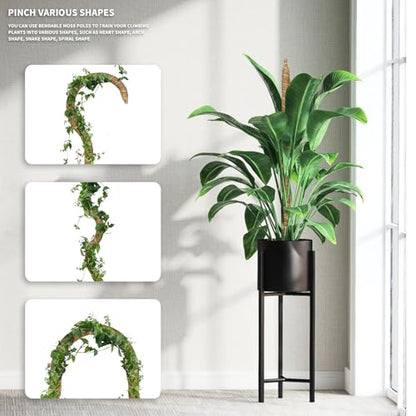 3 Pack Moss Pole Monstera Plant Support, 28 Inch Bendable Moss Poles for Climbing Plants with 20 FT Jute Ropes, Coco Coir Moss Pole Kit Support for Indoor Potted Plants, Pothos, Philodendron
