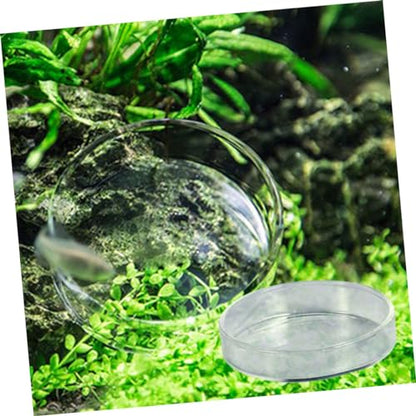 BESPORTBLE Clear Glass Shrimp Feeding Bowl Durable Crystal Dish for Fish Tank Floating Feeder for Shrimp and Fish Multi-Purpose Ornamental Supply for Aquatic Pets