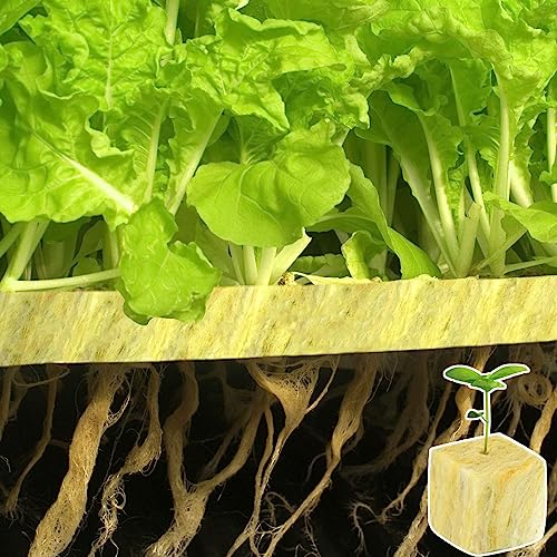 Halatool 1.5 Inch Rockwool Cubes Garden Stonewool Grow Cubes Starter Plugs for Hydroponics Soilless Cultivation Seedlings Cuttings Clone Plants Germination Start (4 Sheets, 196 Plugs in Total)