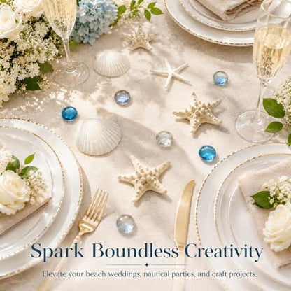 24 Pcs Starfish and Scallop Shells with Sea Glass, 3"-4" Large Natural Sea Shells for Crafts and Decorating, Seashell Decor for Beach Party, Wedding, Vase Filler, Christmas, Coastal Home DIY