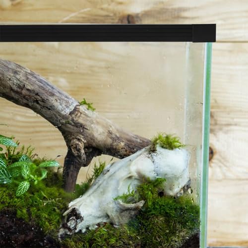 Toddmomy Fish Tank Edge Protector Strip Safety Guard Aquarium Edge Sealing Easy to Install Corner Guards
