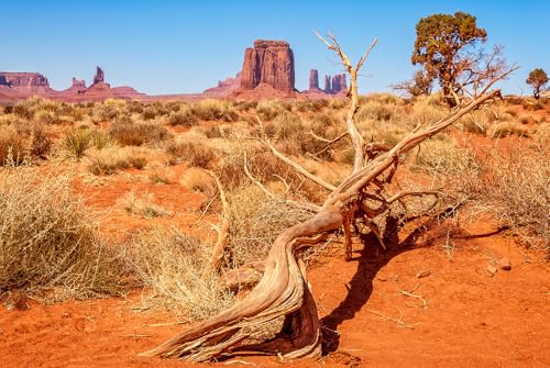 30X18 Inch Withered Tree & Rock Desert Terrarium Backdrop - Arid Sandstone Habitat Background Durable Polyester Reptile Tank Decor for Dry Climate Species - size: 30X18in