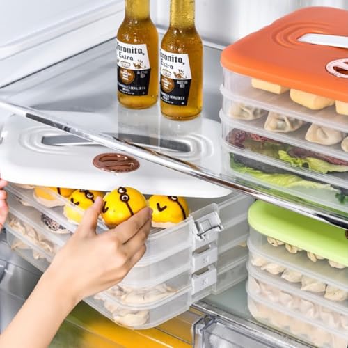 4-layer Cookie Containers,Cookie Carrier with Lid and Handle, Dumpling Box,Food Storage Containers