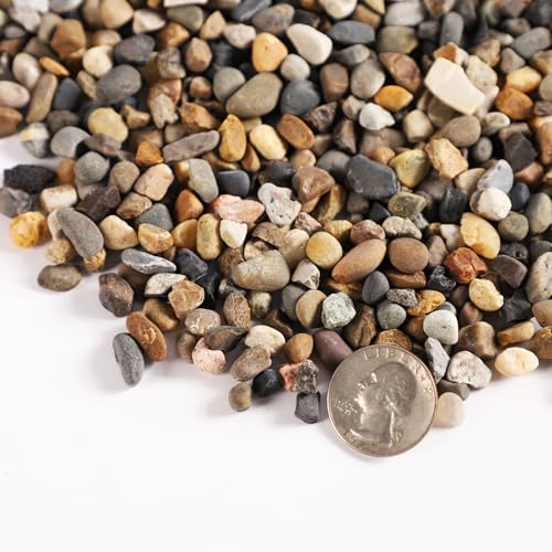 5LB 1/8-3/8 Inch Sand 100% Natural Stone Sand for Aquarium Silica Sand Decorative Sand for Landscaping Coarse Sand for Fish Tank - size: 5lb, style: Multi-colored
