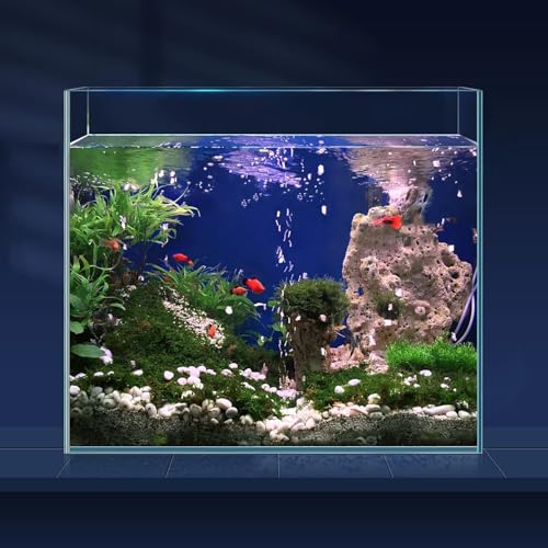 6.5 Gallon Ultra Clear Glass Fish Tank, Rimless Low Iron Aquarium for Betta/Nano/Goldfish/Snail/Shrimp, Fish Tank & Cover Set & Feeding Ring & Cleaning Tools - color: 6.5 Gal