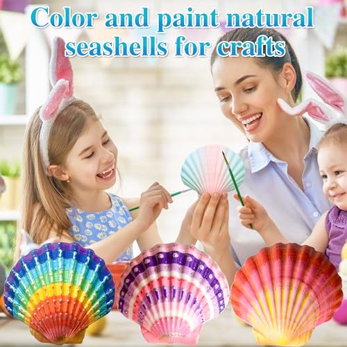 30PCS Natural Scallop Shells, 3 Size White Sea Shells for Crafts, 1.5"/2.3"/3" Real Seashells from Beach for DIY Painting Home Décor Wedding Ocean Beach Theme Party, Fish Tank and Vase Filler
