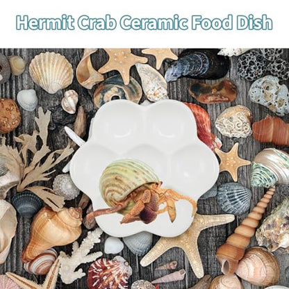 4.53" Hermit Crab Ceramic Food Dish,7 Compartments Ceramic Anti-Turning Food & Water Bowl for Hermit Crab Tarantula Snail - size: 4 inch