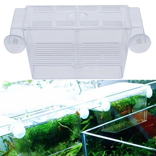 Aquarium Fish Tank Guppy Double Breeding Breeder Rearing Trap Box Hatchery Direct
