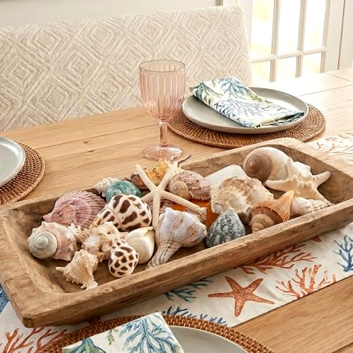 JQAQJU Sea Shells Mixed Beach Seashells 20 Kinds, 1.5"-5.5" Various Sizes Large Ocean Shells Conch 2 Kinds Natural Starfish for Decorating Beach Theme Party Fish Tank Filling Home Decor Wedding