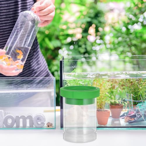 Fish Breeding Isolation Box with Divider and Floating Egg Net Small Aquarium Hatchery Incubator for Guppy Fry and Small Fish Nursery Green Compact Fry Box