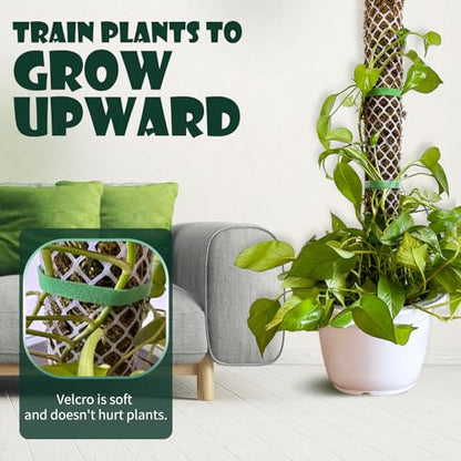 Plastic Moss Poles mesh kit,Plant Poles for Climbing Plants,Plastic Moss Pole Sheets with Different Height,Plant Stakes for Indoor,11.8in×10.8ft Plastic mesh Stackable Works with Sphagnum Moss