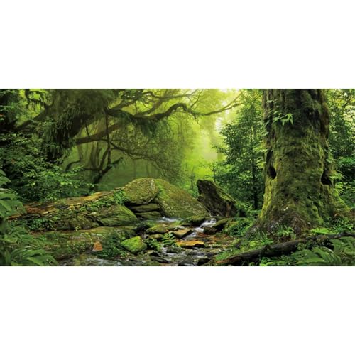 AWERT Tropical Forest Terrarium Background Stream Green Huge Tree Reptile Habitat Background Foggy Rainforest Aquarium Background 60x24 inches Durable Polyester Background - size: 60 x 24 inches