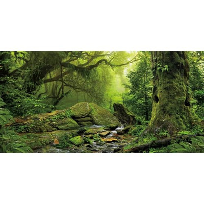 AWERT Tropical Forest Terrarium Background Stream Green Huge Tree Reptile Habitat Background Foggy Rainforest Aquarium Background 36x20 inches Durable Polyester Background - size: 36 x 20 inches