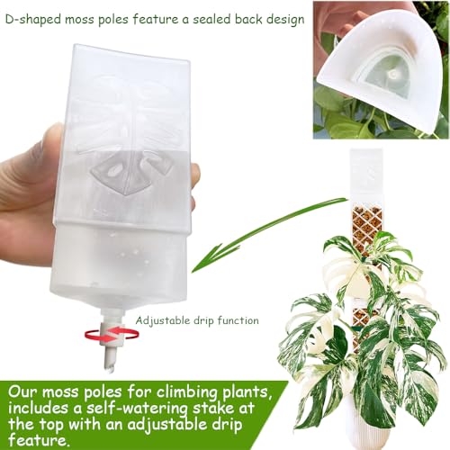 MIIIM 3 Pcs Self-Watering Moss Poles, D Shape Moss Pole Kit for Climbing Plants Indoor, Semi Transparent Monstera Plant Support, 39 Inches in Total Length - color: 3 pcs semi-transparent