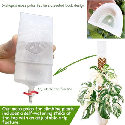 MIIIM 3 Pcs Self-Watering Moss Poles, D Shape Moss Pole Kit for Climbing Plants Indoor, Semi Transparent Monstera Plant Support, 39 Inches in Total Length - color: 3 pcs semi-transparent
