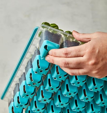 Burpee SuperSeed Seed Starting Tray | 36 Cell Reusable Seed Starter Tray | for Starting Vegetable, Flower & Herb Seeds | Indoor Grow Kit for Plant Seedlings | for Germination Success - size: 36 Cells