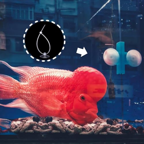 30 Pcs Suction Cups with 50 Pcs Adjustable Zip Ties 25mm & 35mm Aquarium Suction Cups Rubber Sucker Pad for Home Garden Fish Tank Tubing Binding Moss Shrimp Nest Decorations