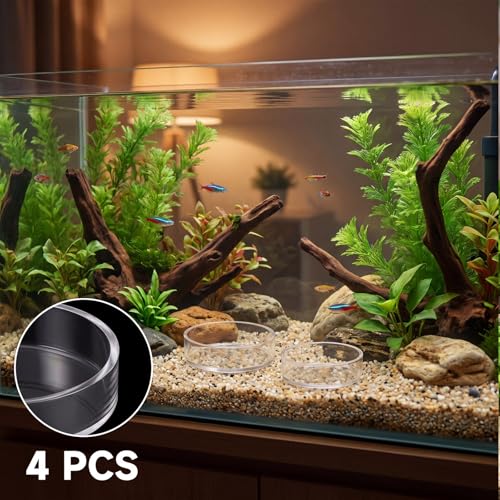4 Pcs Shrimp Feeding Dish, Glass Fish Tank Feeder 65mm and 85mm Round Clear Aquarium Feeding Dish Freshwater Tray Feeder