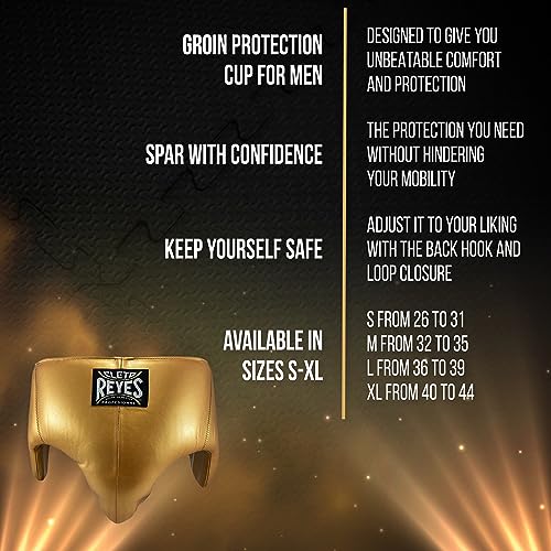 CLETO REYES Kidney and Foul Groin Protector, Boxing Training Equipment, Protective Gear for Men - size: Large, style: Solid Gold