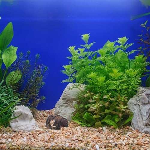 Fish Tank Barrel Decor: Aquarium Decoration Betta Cave Hideaway Tunnel - Resin Fish Tank Cave Hide for Aquarium Goldfish, Reptile, and Turtle
