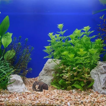 Fish Tank Barrel Decor: Aquarium Decoration Betta Cave Hideaway Tunnel - Resin Fish Tank Cave Hide for Aquarium Goldfish, Reptile, and Turtle