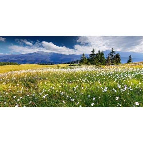 AWERT 72x16 inches Reptile Habitat Background Blue Sky White Clouds Mountains Forests Grasslands White Floral Nature Art Terrarium Background