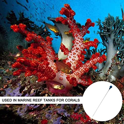 Coral Feeder SPS HPS Feeder,LucBuy Long Arcylic Reef Feeder 21.7Inch,Liquid Fertilizer Feeding Tube Feeder Tool Fish Excreta Cleaner for Aquarium Marine Fish,Coral,Anemones,Eels,Lionfish,Shrimp,Reef