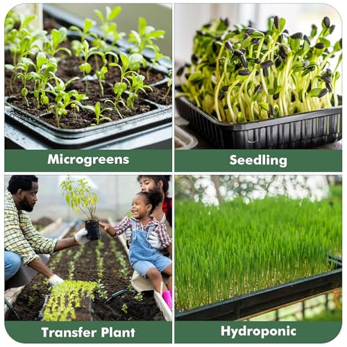 Upgraded 5 Pack Plant Growing Trays Seed Starting Tray Microgreens Growing Trays Seedling Plant Germination Starter Tray Transplant Fodder Flats, No Holes, No Leakage, Reusable (1017) - size: 1017