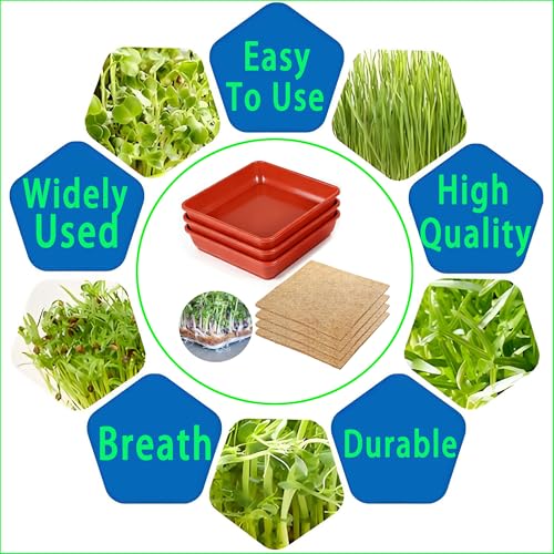 Microgreens Growing Trays Kit –3 Pack (12 x 12) in MicroGreen Grow Trays with 4 Hemp Fiber Grow Mats, 10 x 10 x 1.8 Inch Seed Starter Trays for Growing Microgreens, Indoor Gardening - size: MIX